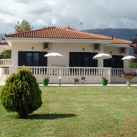 Finikes Studios Kefalonia Sami  Ngoại thất bức ảnh