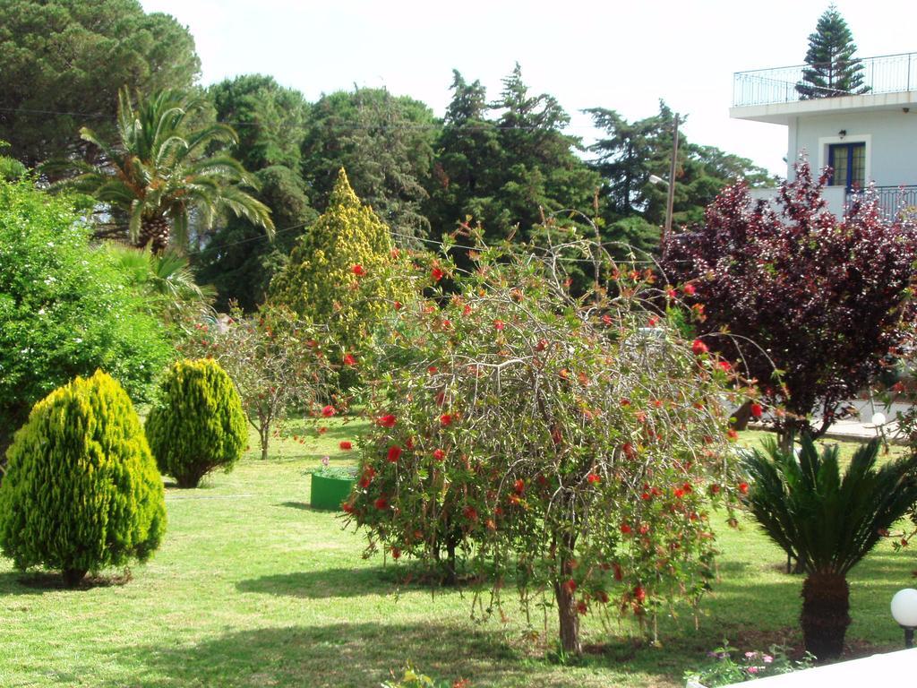 Finikes Studios Kefalonia Sami  Ngoại thất bức ảnh