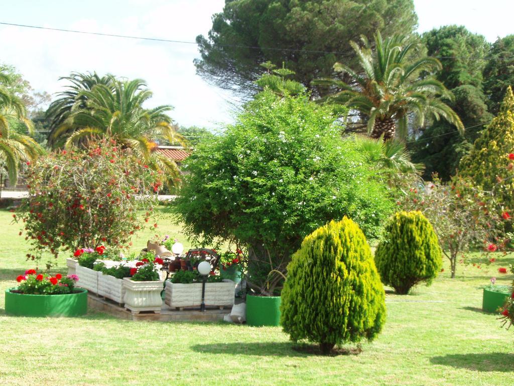 Finikes Studios Kefalonia Sami  Ngoại thất bức ảnh