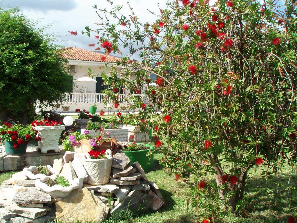 Finikes Studios Kefalonia Sami  Ngoại thất bức ảnh