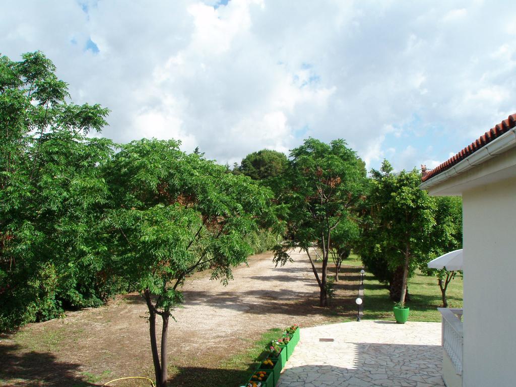 Finikes Studios Kefalonia Sami  Ngoại thất bức ảnh